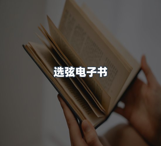 关于选弦电子书
